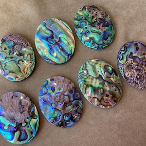 May include: Seven oval-shaped abalone shells with iridescent blue, green, and purple hues. The shells have a natural, textured surface and are arranged on a neutral-toned background. These shells are suitable for jewelry making or decorative purposes.