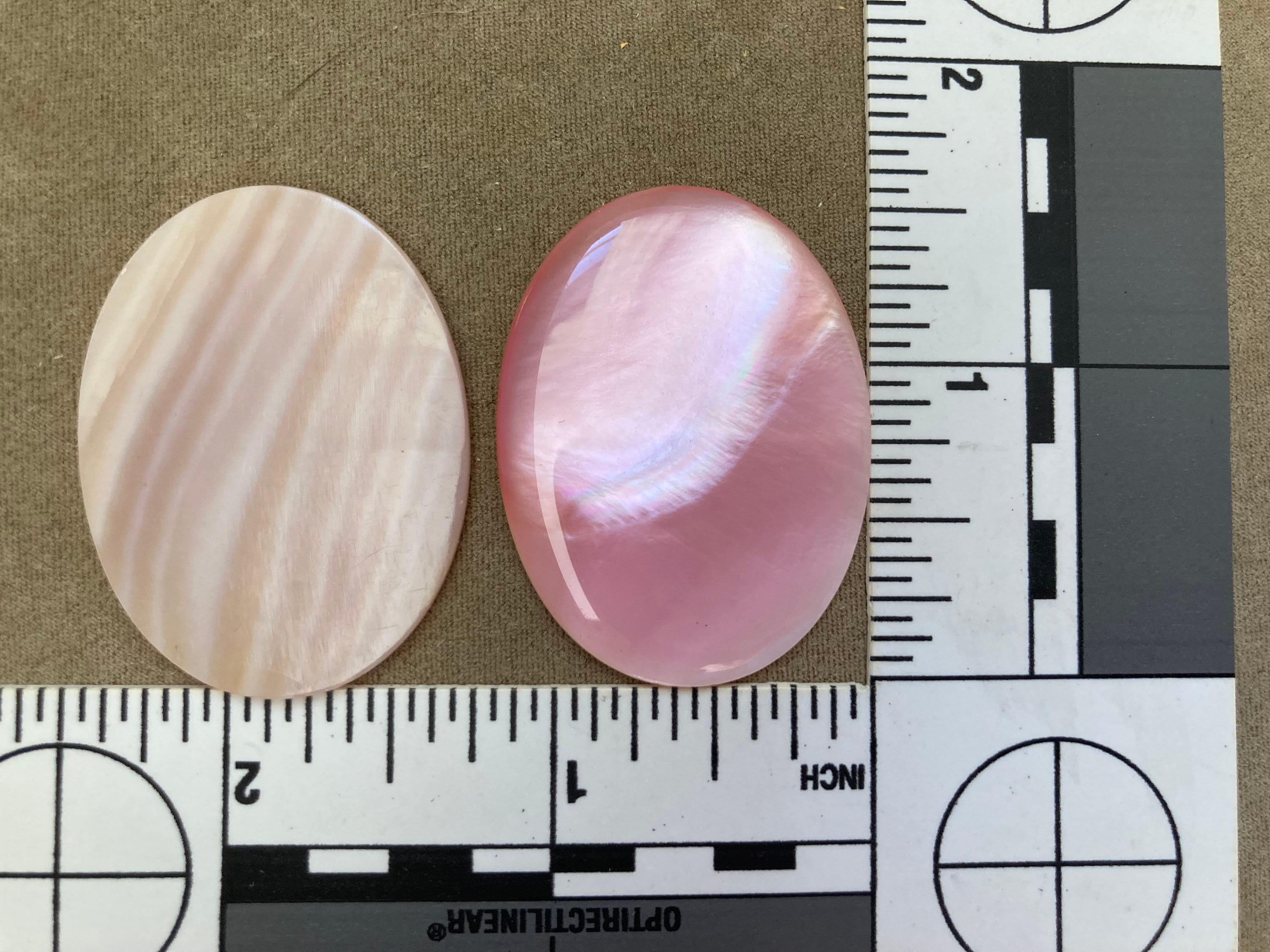 Shell Flat Back Calibrated Cabochon, Oval, Pink Mussel, 3 Sizes ...