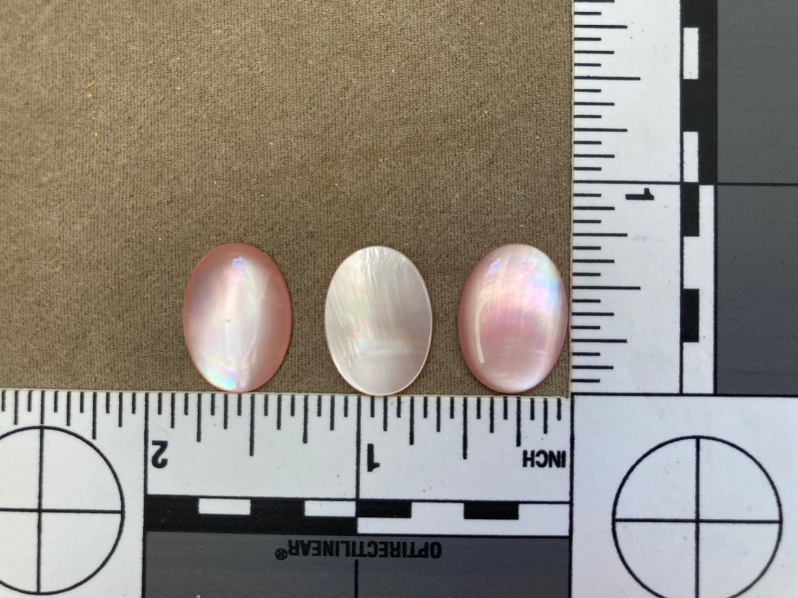Shell Flat Back Calibrated Cabochon, Oval, Pink Mussel, 3 Sizes ...