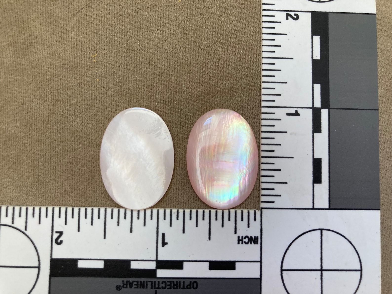 Shell Flat Back Calibrated Cabochon, Oval, Pink Mussel, 3 Sizes ...