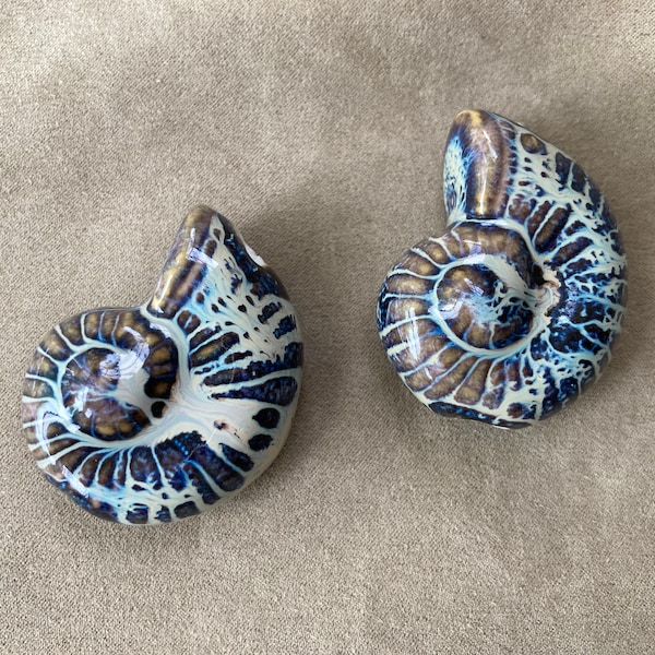 Ceramic Ammonite Focal Bead