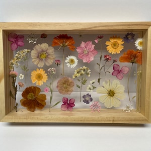 Pressed Flowers in Wooden frame