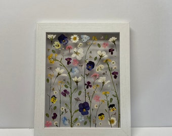 Könnte beinhalten: Ein weiß gerahmtes Bild mit einer gepressten Blumenanordnung. Die Blumen sind in verschiedenen Farben, darunter lila, blau, rosa, gelb und weiß.