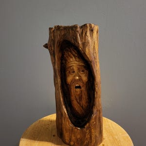 Wood Spirit in a Log | Chainsaw Carved Wood Carving