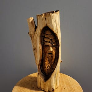 Wood Spirit in a Log | Chainsaw Carved Wood Carving