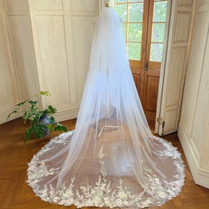 Soft Tulle Veil with Colorful Lace Pink&Green Lace Applique Veil Flower Wedding Veil Chapel Length Veil with Plain Blusher Double Tiers Veil