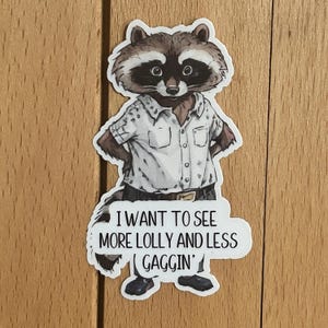 Raccoon Sticker .  Fun Sticker.  Glossy and Laminated for UV and Weather Resistance