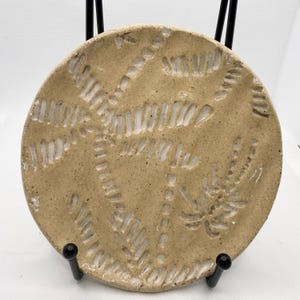 Könnte beinhalten: Ein runder, beigefarbener Keramikteller mit einem in die Oberfläche geschnitzten Farnmuster. Das Farnmuster ist in einem helleren Beige gehalten und bildet einen Kontrast. Der Teller wird auf einem schwarzen Ständer präsentiert.