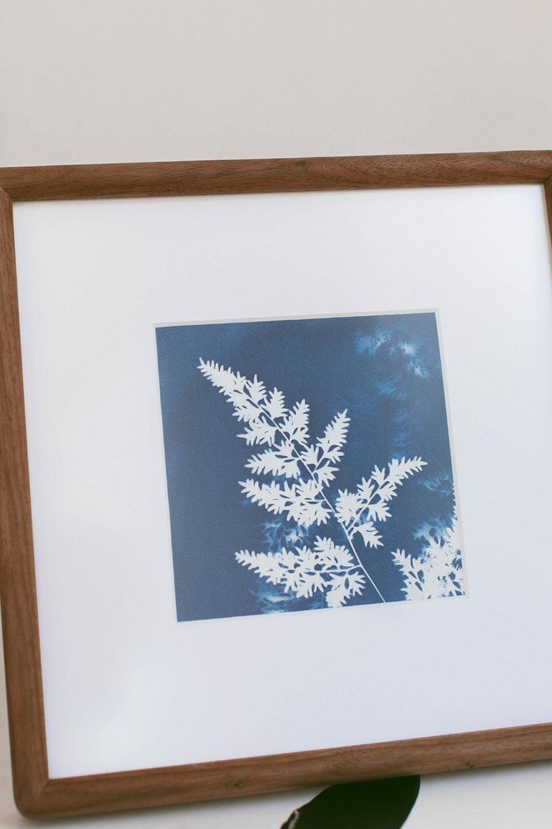 Wild Garden Ferns - Original Cyanotype Framed Art 8x8 - Etsy