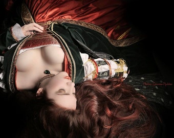 May include: A historical-style gown featuring a dark green velvet bodice with gold trim, a red patterned corset-style front, and white puffed sleeves with gold ribbon accents. The garment includes a long, flowing red skirt and a dark choker.