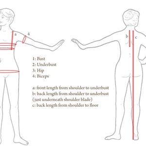 May include: A line drawing of a human figure from the front and back, showing measurement points in red. Labels include 1: Bust, 2: Underbust, 3: Hip, 4: Biceps, a: front length from shoulder to underbust, b: back length, and c: back length to floor.