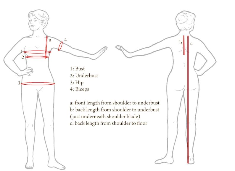 May include: A line drawing of a human figure from the front and back, showing measurement points in red. Labels include 1: Bust, 2: Underbust, 3: Hip, 4: Biceps, a: front length from shoulder to underbust, b: back length, and c: back length to floor.
