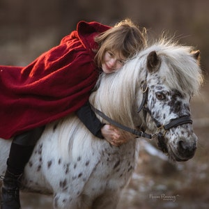 Könnte beinhalten: Eine Person in einem roten Kapuzenmantel umarmt ein weiß-braun geflecktes Pony. Das Pony hat einen schwarzen Zaum und eine flauschige Mähne. Der Hintergrund ist verschwommen, was auf eine Umgebung im Freien hindeutet.