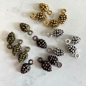 Può includere: Assortimento di piccoli ciondoli a forma di pigna in metallo, in finiture dorate, argentate e bronzo. Ogni ciondolo ha un anello per attaccarlo a gioielli o artigianato.