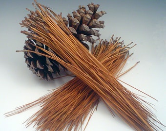 Longleaf dennennaalden: één bundel van 2 ounce