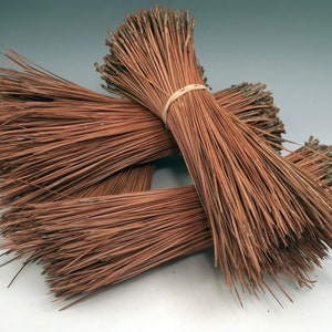 SHORTS Pine Needles-ONE 4-ounce bundle of 8-9 inch needles for pine needle basketry image 2