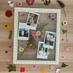 May include: A white picture frame with a glass front containing pressed flowers and Polaroid photos. The frame is surrounded by a variety of dried flowers in shades of pink, purple, yellow, and orange.
