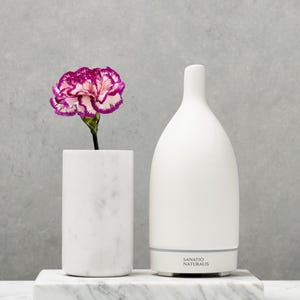 May include: A white essential oil diffuser and a marble vase with a pink and white carnation. The diffuser has the text "SANATIO NATURALIS". The items are on a marble tray against a grey background.