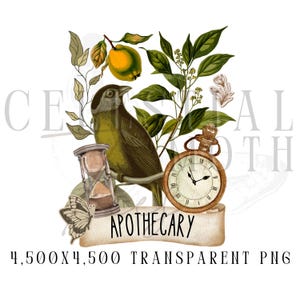 Herbologia Digital Download, Ervas e Boticário PNG, Design Herbalista, Era Saudável, Faça a América Saudável Novamente, Flores Transparentes PNG