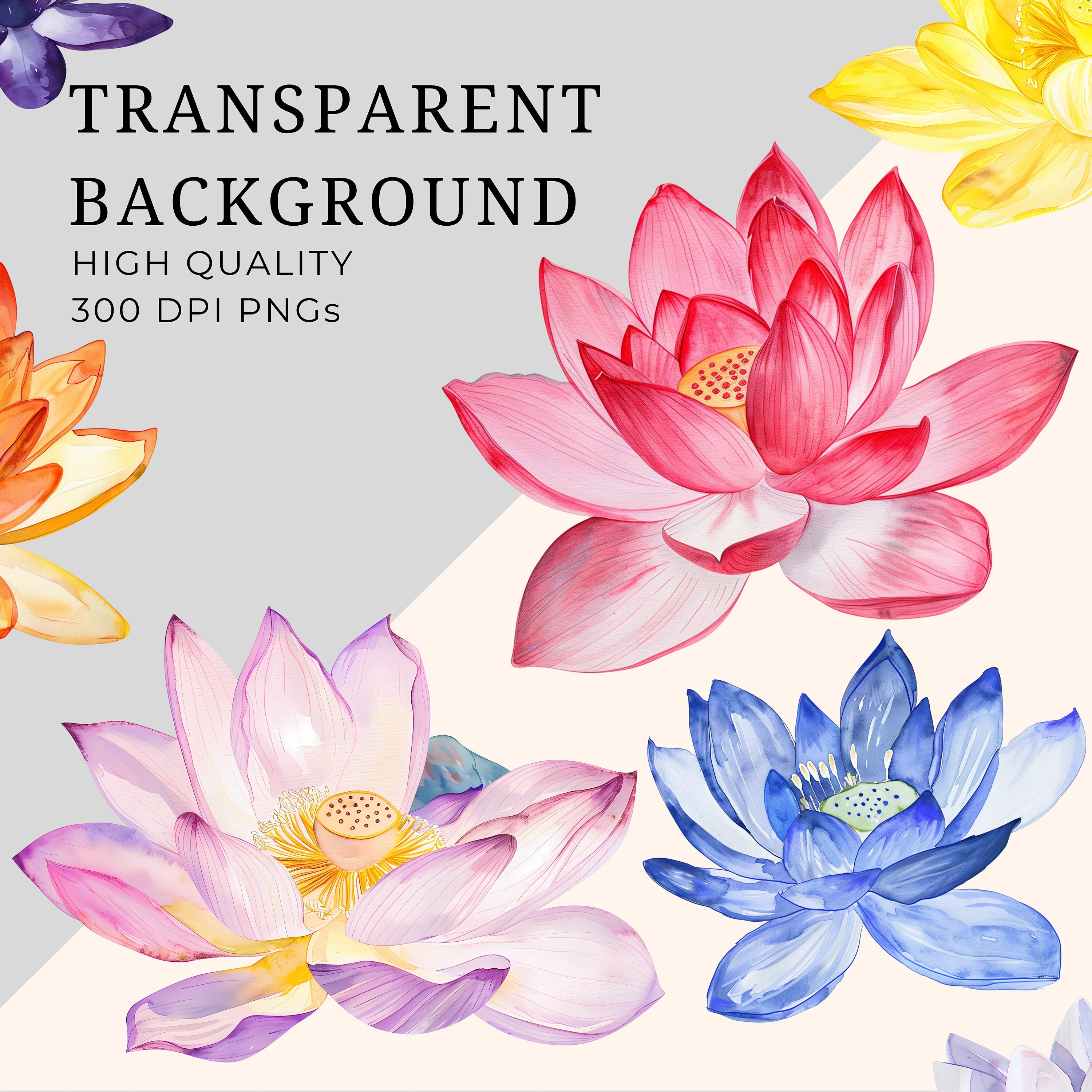 Watercolor Lotus Flower Clipart, Watercolour Clip Art, Water Lily