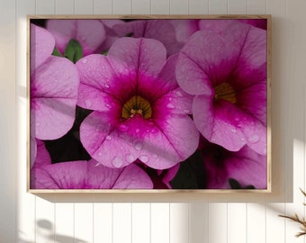 Macroprint roze petuniabloem – botanische muurkunst (digitale download)