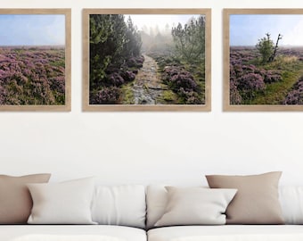 Denemarken weidefotografie printset, natuurkunst aan de muur (digitale download)