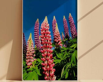 Lupinebloemenprint, kleurrijke bloemenmuurkunst, zomerse natuur (digitale download)