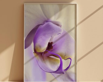 Witte orchidee fotografieprint, moderne bloemen muurkunst (digitale download)