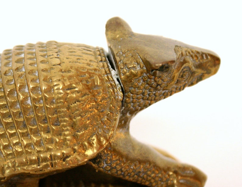 The brass armadillo golabay
