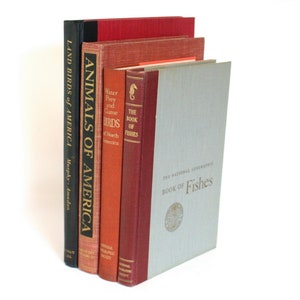 Collection of Four Large Vintage Illustrated Animal Themed Books (Land Birds of America, Mammals, Fishes, Water, Prey and Game Birds, etc.)