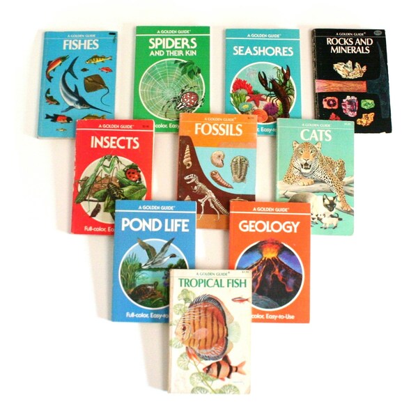 Book of a Golden Guide - Etsy