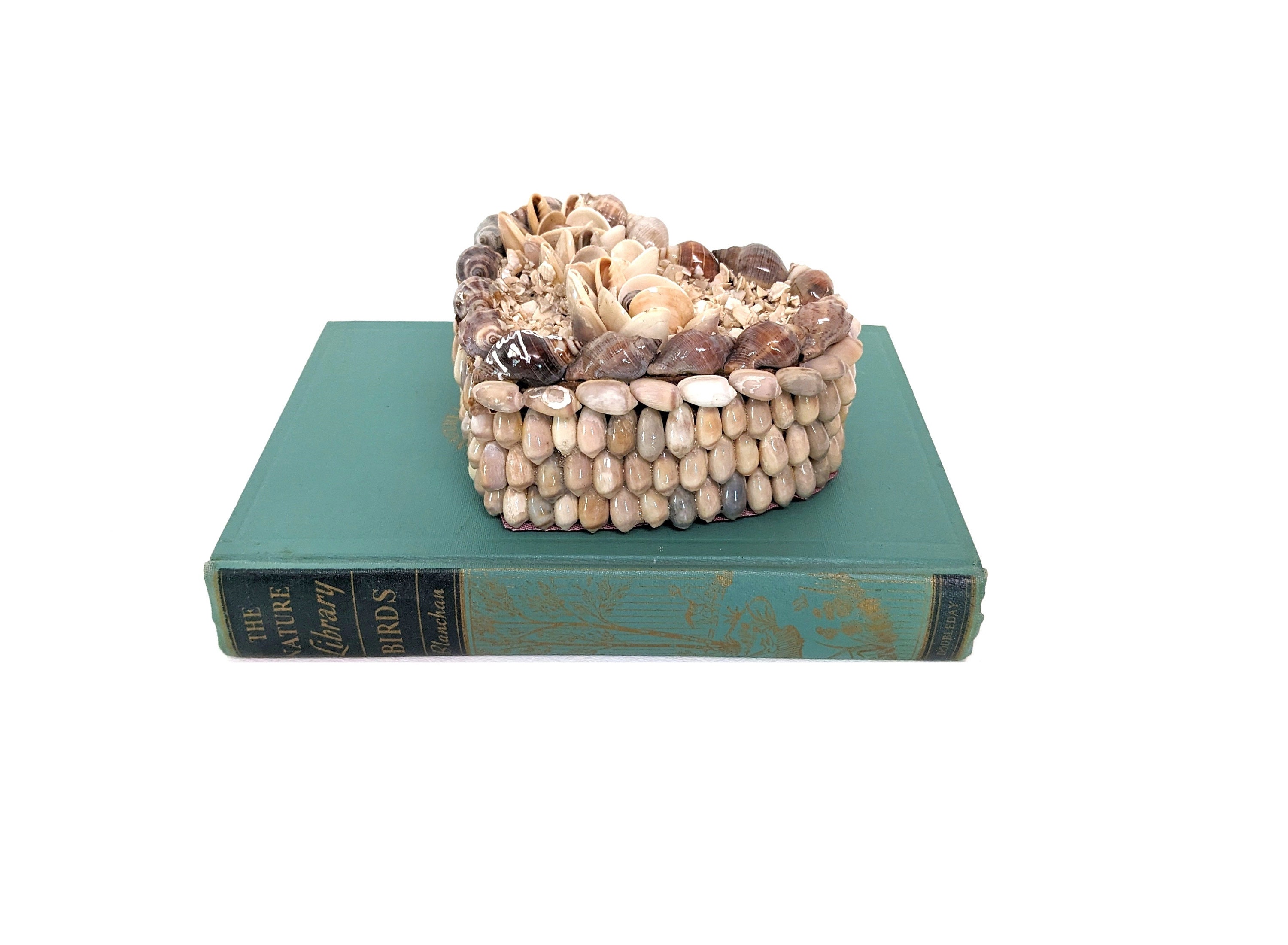 Seashell Encrusted Heart Shaped Trinket Box with Hinged Lid & Red Fabric Lining