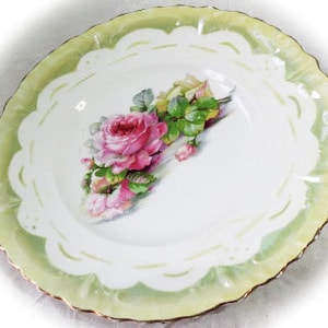 1800s '40s~ 10 pcs ~Single Plates~ Gold Gilt~ German~ Transfer~ Austrian~ Weimar~ Handpainted~ Roses~ Grapes~ Bl Onion~ Red Ware~ Prussia