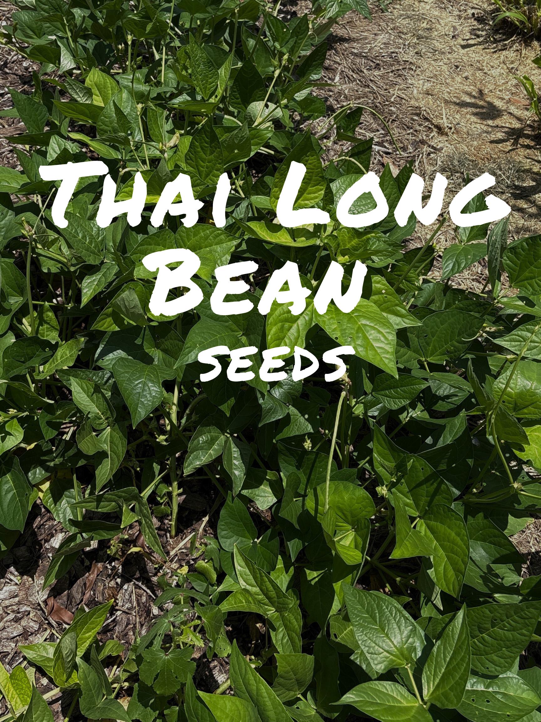 Thai Long Bean Seeds (Vigna unguiculata subsp. sesquipedalis) | Heat-Tolerant, Multi-Purpose Cowpea for Gardens & Food Forests