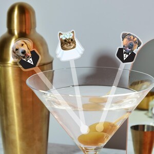 May include: A martini glass with olive garnishes and three cocktail stirrers featuring dog and cat faces in formal attire. A gold cocktail shaker and other bar tools are in the background.