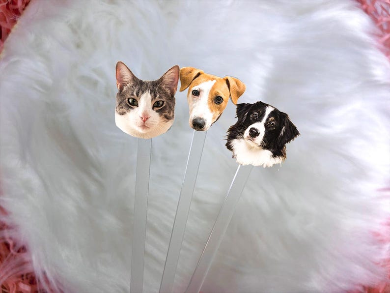 May include: Three clear acrylic sticks with animal faces printed on them. The faces are a tabby cat, a brown and white dog, and a black and white dog.