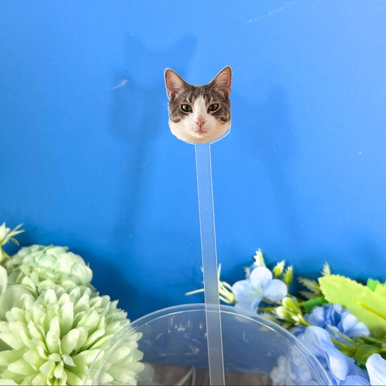 May include: A clear plastic straw with a cat's face printed on the top. The cat has gray and white fur and is looking directly at the camera. The straw is in a clear plastic cup with flowers around it.