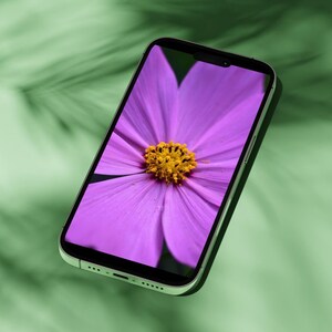 May include: A close-up of a smartphone displaying a photo of a purple flower with a yellow center.