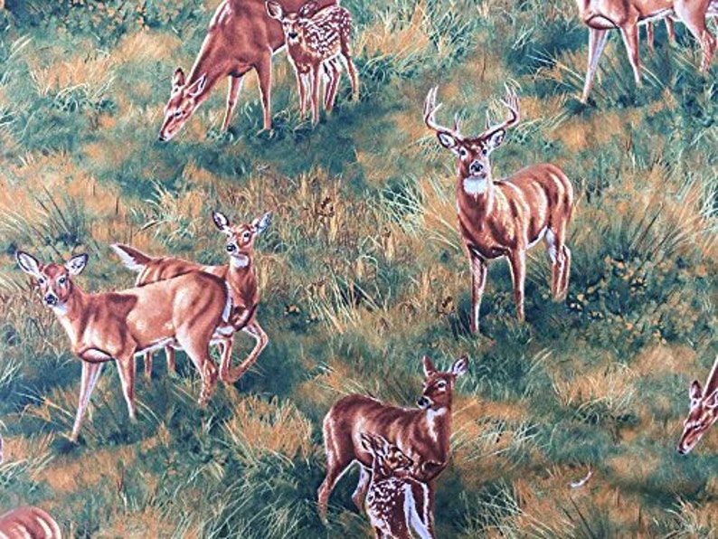 Deer Wild Animal Wildlife Hunting Dear Buck Doe Grassy Meadow Etsy