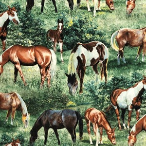 Horse Valance Western Ranch Pony Equine Green Farmhouse Kitchen Bath Window Curtain Topper