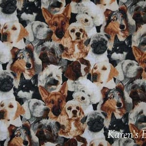 Dog Breeds Valance Veterinarian Office Pet Shop Decor Boy Bedroom Window Curtain
