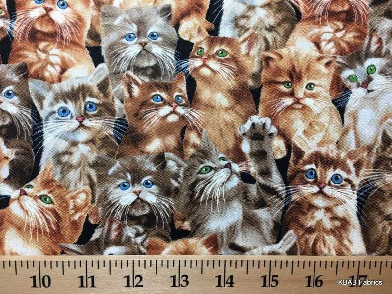 Curtains Cat Valance Sweet Kitty Feline Cats Kitten Valance Etsy