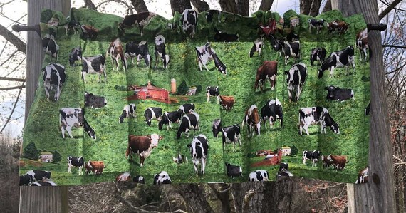 Curtains Cow Valance Dairy Farm Barnyard Barn Animal Cows in | Etsy