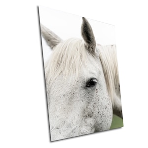Stampa artistica di cavalli americani, paesaggio, natura, fauna selvatica, montagna, mustang, fotografia, decorazione da parete di casa su carta, tela acrilica o metallo
