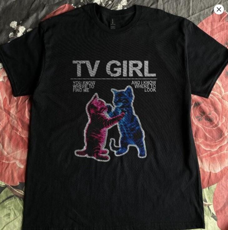 Limitiertes TV Girl T-Shirt - TV Girl Who Really Cares T-Shirt - Tv Girl Hoodie - Tv Girl Geschenk