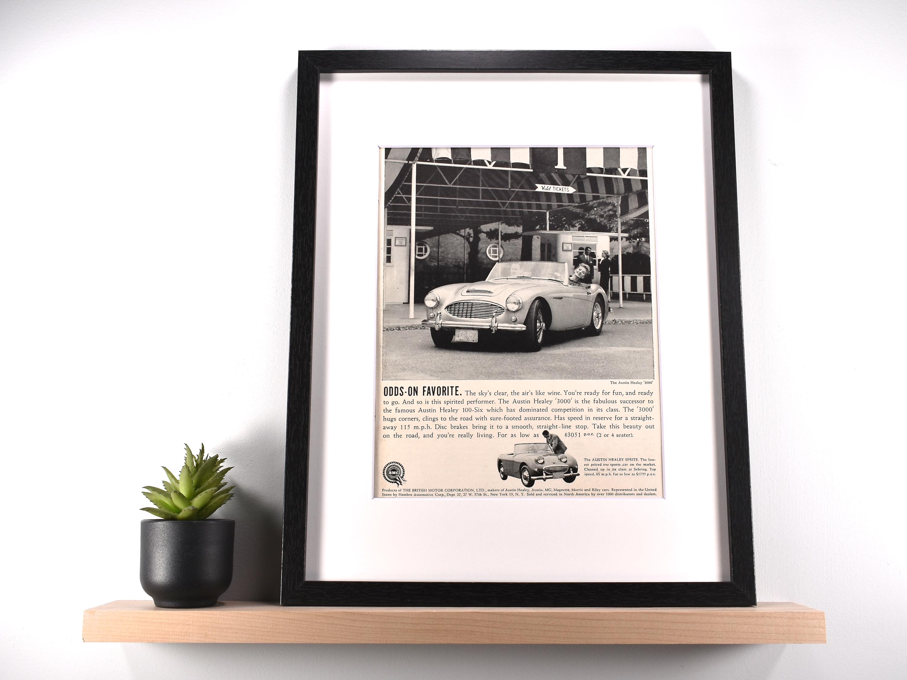 Austin Healey Decor - Etsy