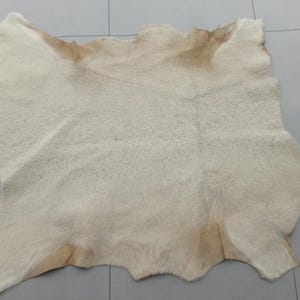 シープスキンレザーハイド カラクル オフホワイト 極細タイトカーリーヘア キャメルバック