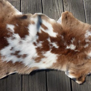 May include: A natural cowhide rug with a brown and white spotted pattern. The hide has a soft, furry texture and irregular shape, ideal for home decor. The rug is placed on a wooden surface.
