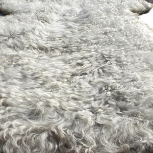 sheepskin leather hide Toscana Light Grey Long Curly Ringlet hair w/Smooth back