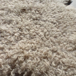 sheepskin leather hide Natural Toscana Tigrado Very Long Tight Curly Ringlet Hair